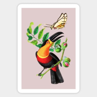 colorful Bird, flower and butterfly Magnet